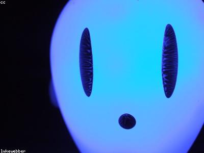 Lámpara LED Escritorio Xiaomi
